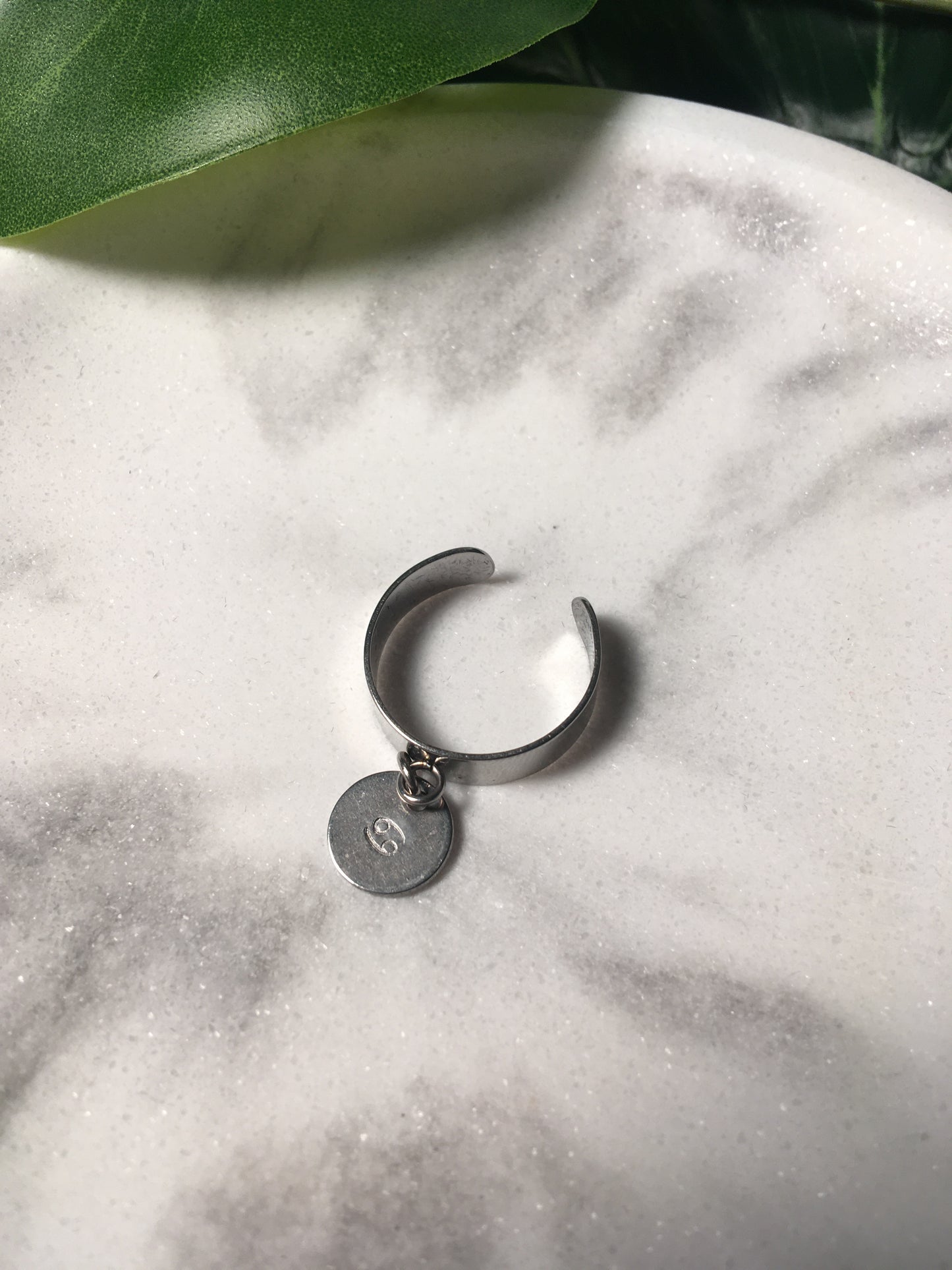 Mon signe astro | Bague breloque estampée en acier inoxydable