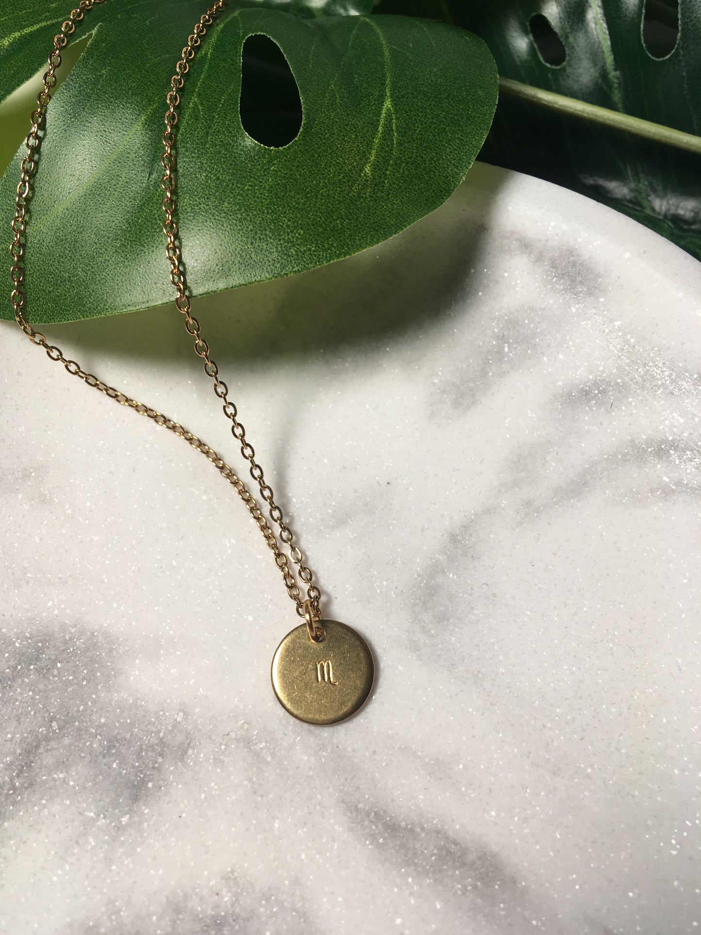Mon signe astro | Collier breloque estampée en acier inoxydable
