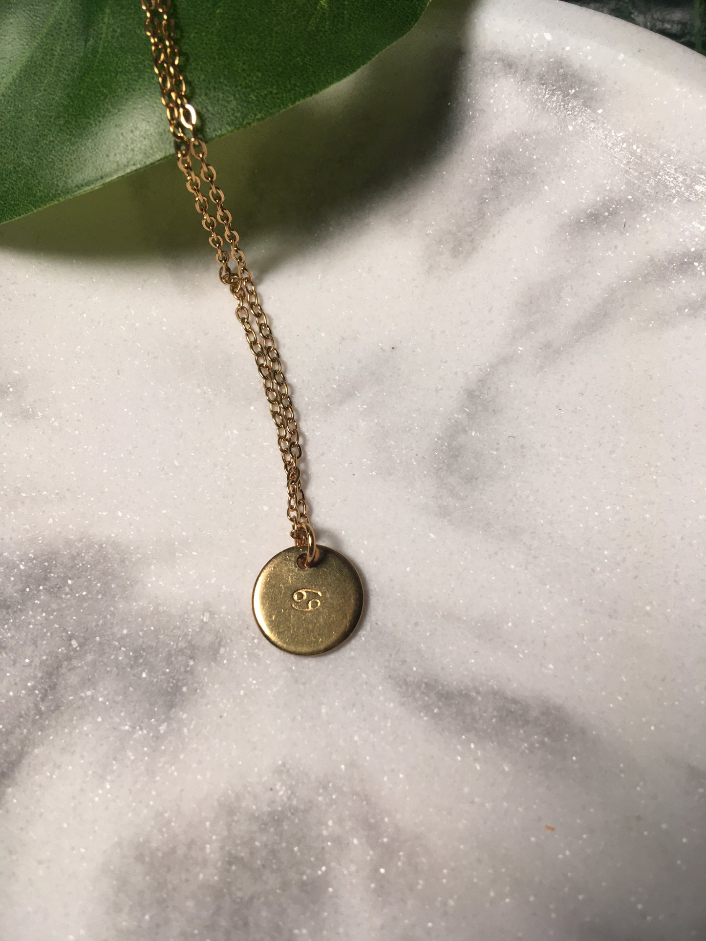 Mon signe astro | Collier breloque estampée en acier inoxydable