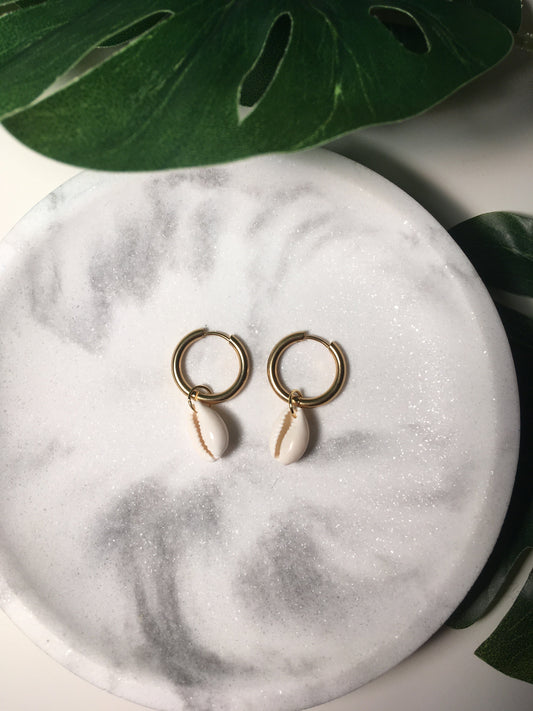 Coquillage d'été | Boucles d'oreilles créoles en acier inoxydable