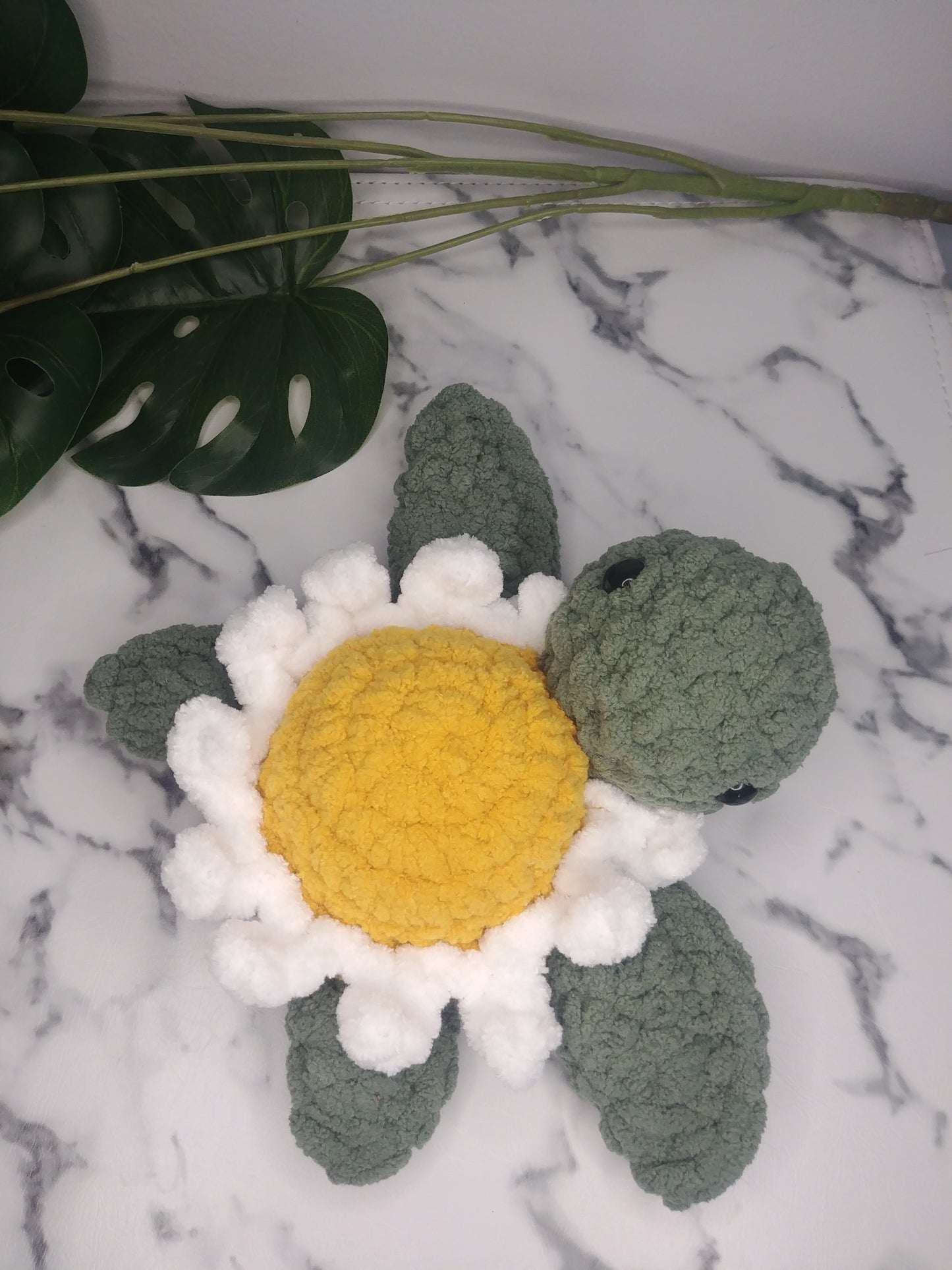 Tortue de mer Daisy